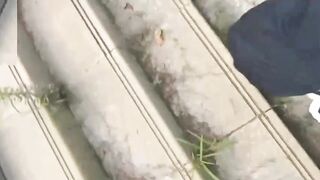 【兄嫂乱伦-最美大胸嫂子爱喷水后续】和嫂子公园野战，淫水狂喷好远