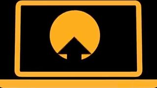 44