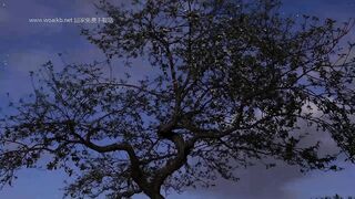 驷马拘束器拘束放置